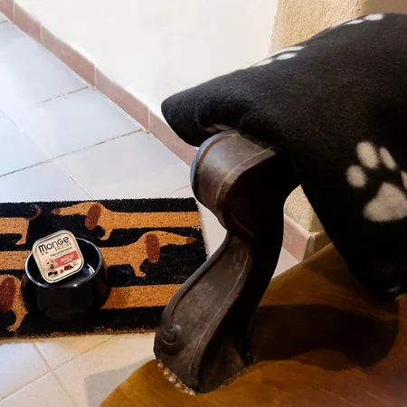 Il Ciabattino Di , Dove Dormire A Bed and Breakfast Ceva